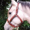 Licol poney cousu main